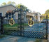 Μαύροι διακοσμητικοί φράκτες χαλιών και Γκέιτς/διακοσμητικός κήπος Γκέιτς μετάλλων